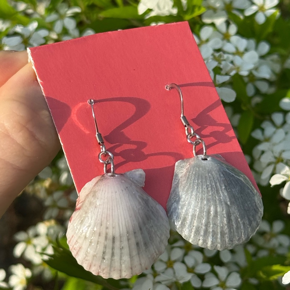 Elegant Shell Earrings